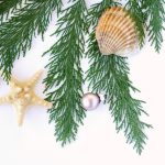 All Hallows Home Tour “A Twilight Coastal Christmas”